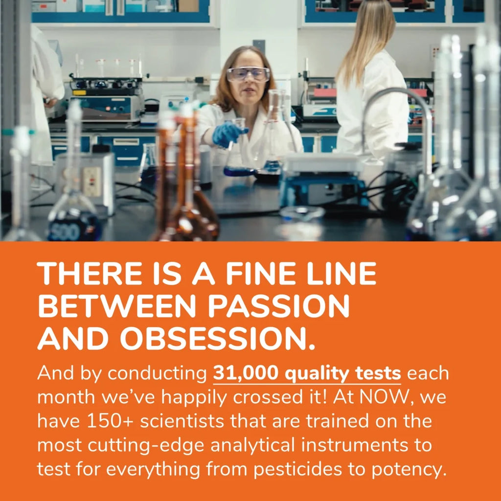 Supplements, Probiotic Defense, Probiotic Blend in a Whole Food Base with 1 Billion Organisms, 90 Veg Capsules